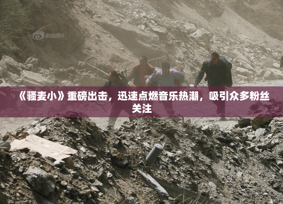 《骚麦小》重磅出击，迅速点燃音乐热潮，吸引众多粉丝关注