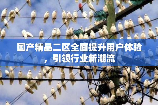 国产精品二区全面提升用户体验，引领行业新潮流