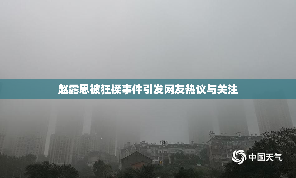 赵露思被狂揉事件引发网友热议与关注