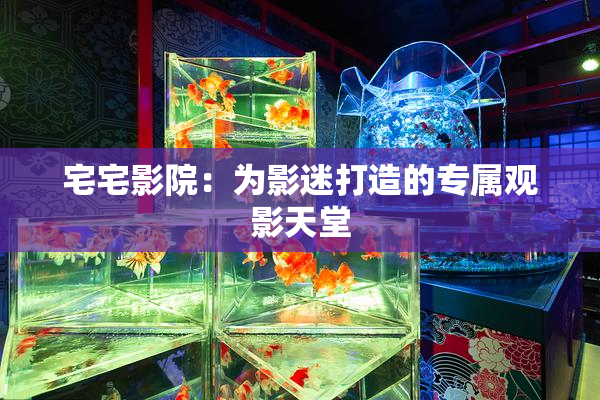 宅宅影院：为影迷打造的专属观影天堂
