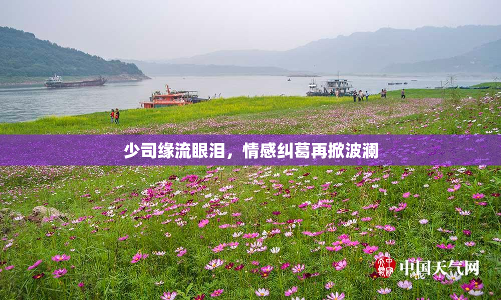 少司缘流眼泪，情感纠葛再掀波澜