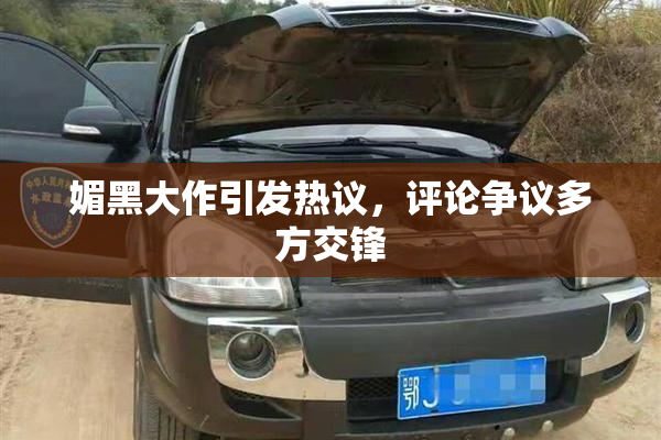 媚黑大作引发热议，评论争议多方交锋