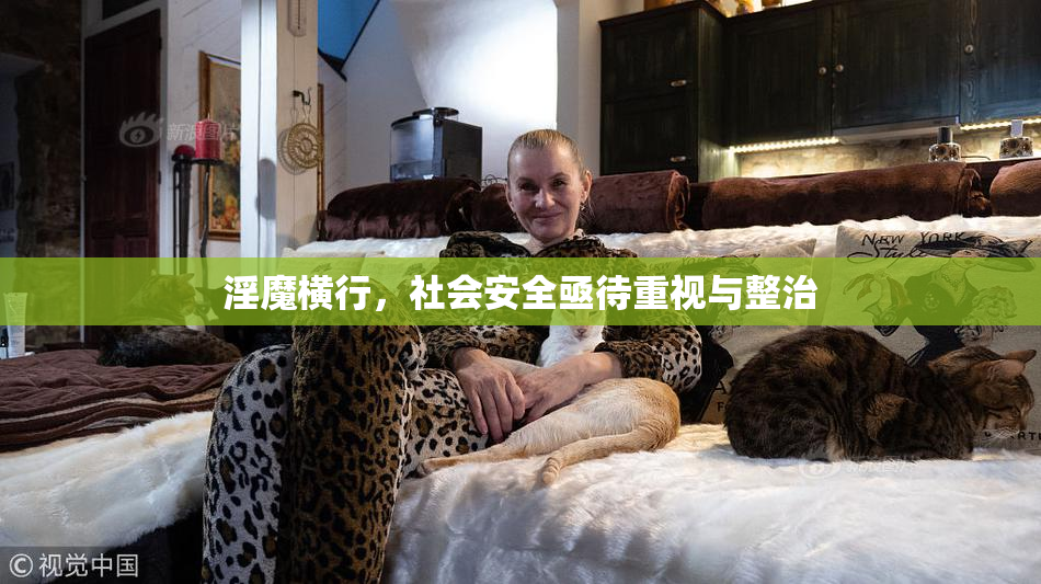 淫魔横行，社会安全亟待重视与整治