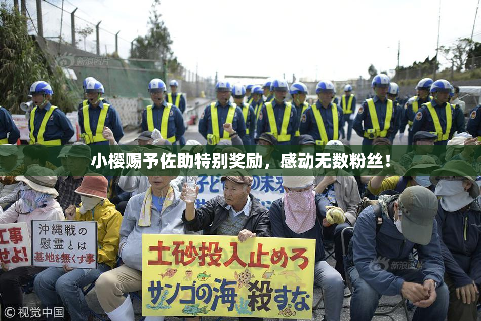 小樱赐予佐助特别奖励，感动无数粉丝！