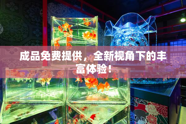 成品免费提供，全新视角下的丰富体验！