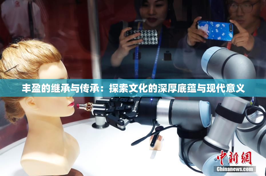 丰盈的继承与传承：探索文化的深厚底蕴与现代意义