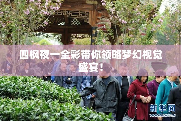 四枫夜一全彩带你领略梦幻视觉盛宴！