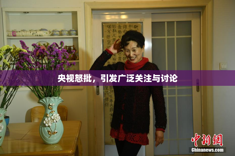 央视怒批，引发广泛关注与讨论