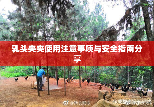 乳头夹夹使用注意事项与安全指南分享