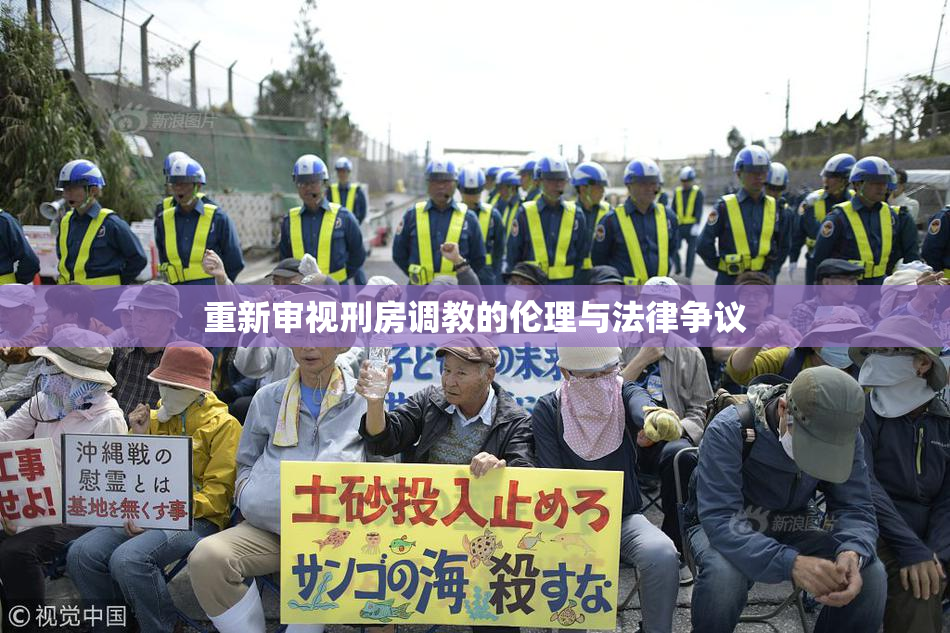 重新审视刑房调教的伦理与法律争议