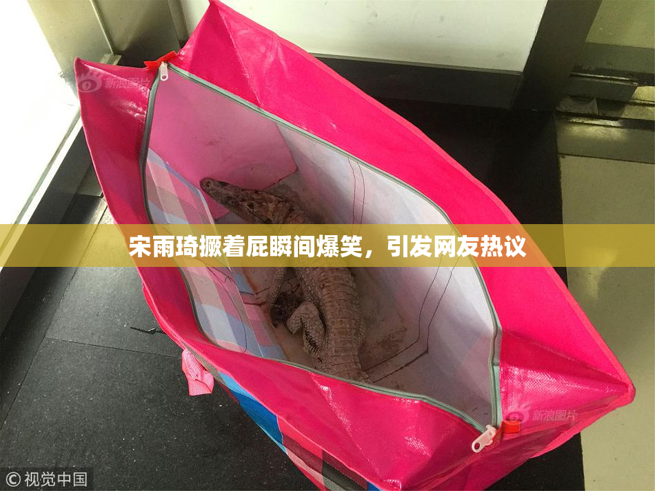 宋雨琦撅着屁瞬间爆笑，引发网友热议