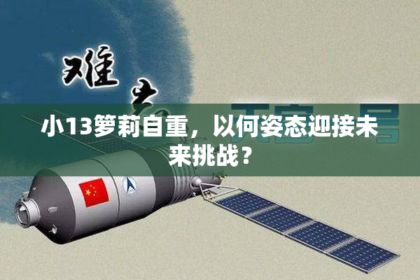 小13箩莉自重，以何姿态迎接未来挑战？