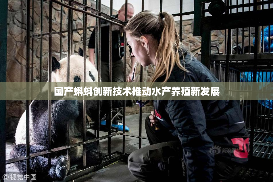 国产蝌蚪创新技术推动水产养殖新发展