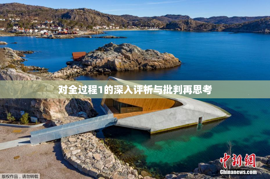 对全过程1的深入评析与批判再思考