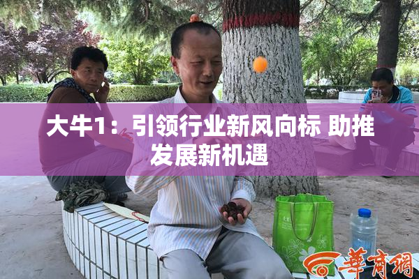 大牛1：引领行业新风向标 助推发展新机遇