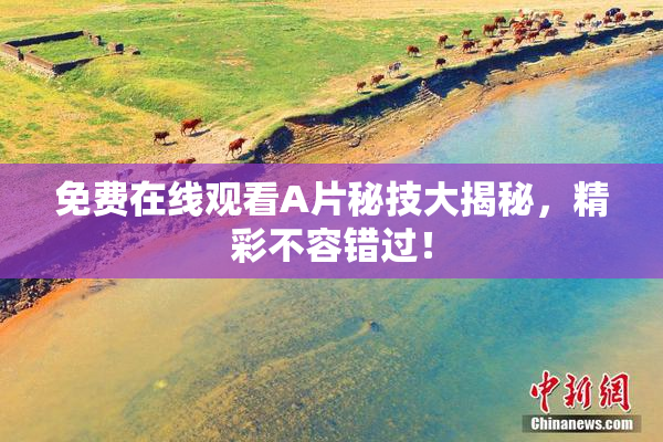 免费在线观看A片秘技大揭秘，精彩不容错过！