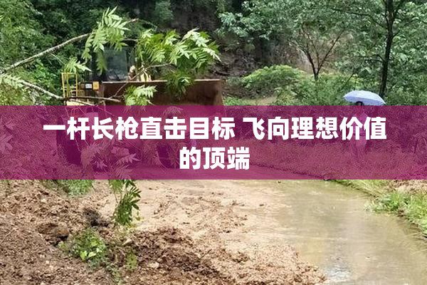 一杆长枪直击目标 飞向理想价值的顶端