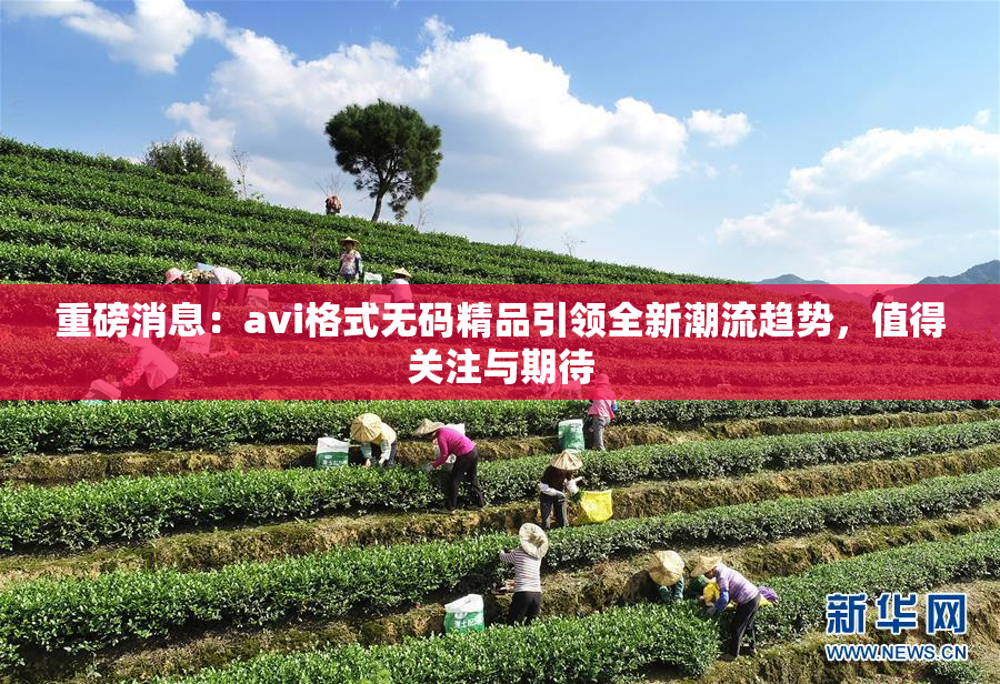 重磅消息：avi格式无码精品引领全新潮流趋势，值得关注与期待