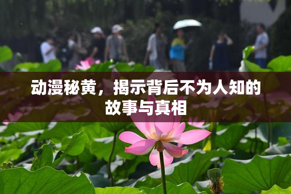 动漫秘黄，揭示背后不为人知的故事与真相