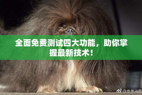 全面免费测试四大功能，助你掌握最新技术！