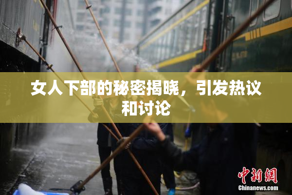 女人下部的秘密揭晓，引发热议和讨论