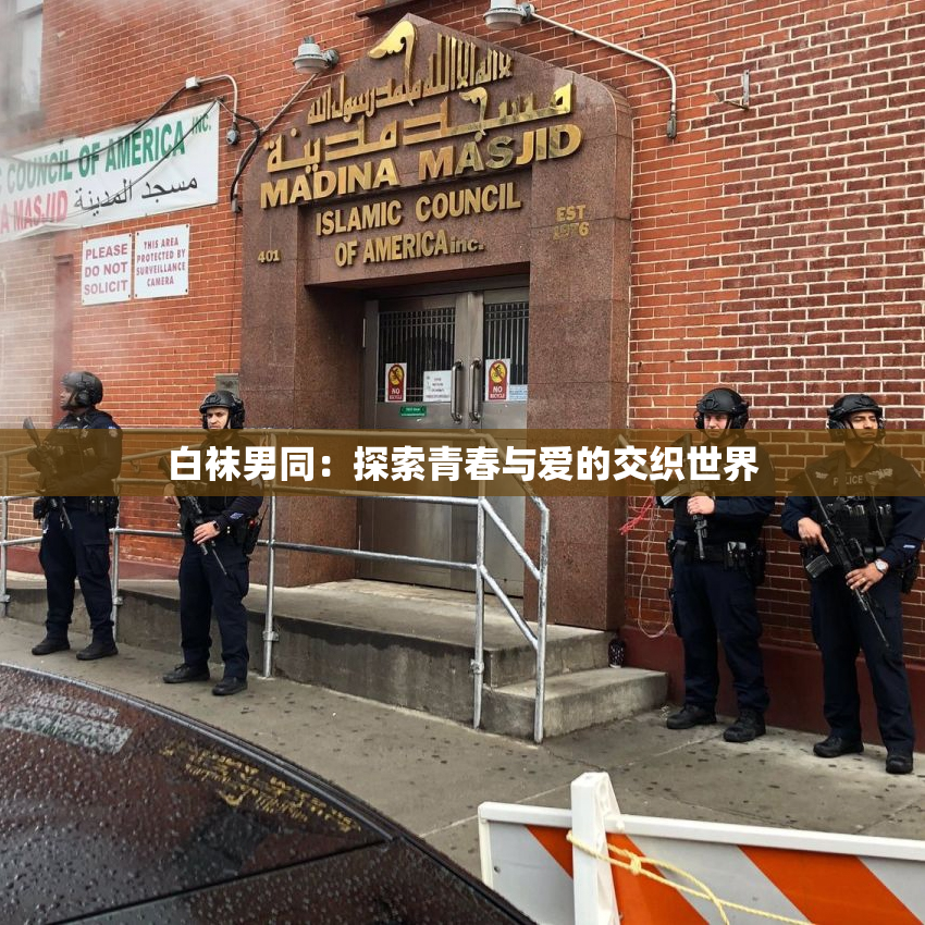 白袜男同：探索青春与爱的交织世界