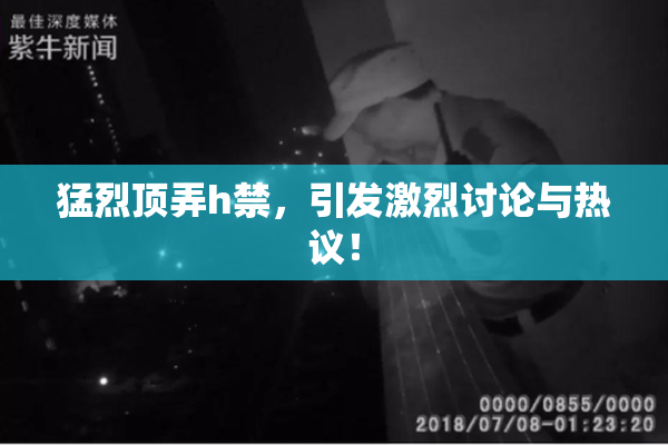 猛烈顶弄h禁，引发激烈讨论与热议！
