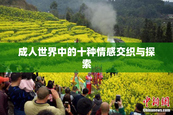成人世界中的十种情感交织与探索