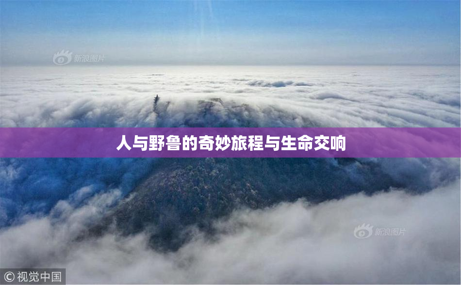 人与野鲁的奇妙旅程与生命交响