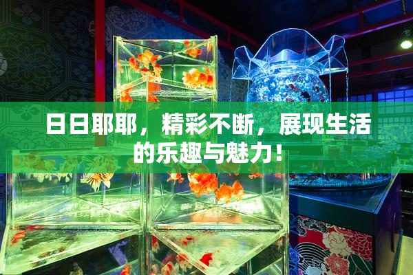日日耶耶，精彩不断，展现生活的乐趣与魅力！