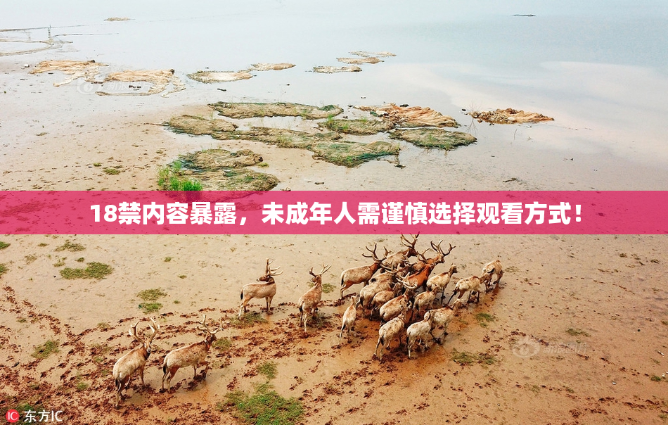 18禁内容暴露，未成年人需谨慎选择观看方式！