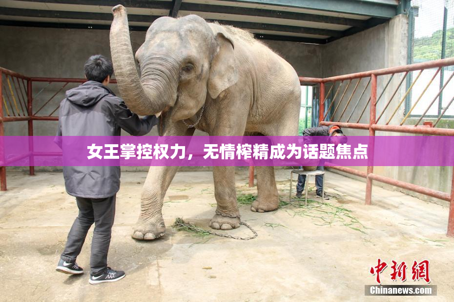 女王掌控权力，无情榨精成为话题焦点