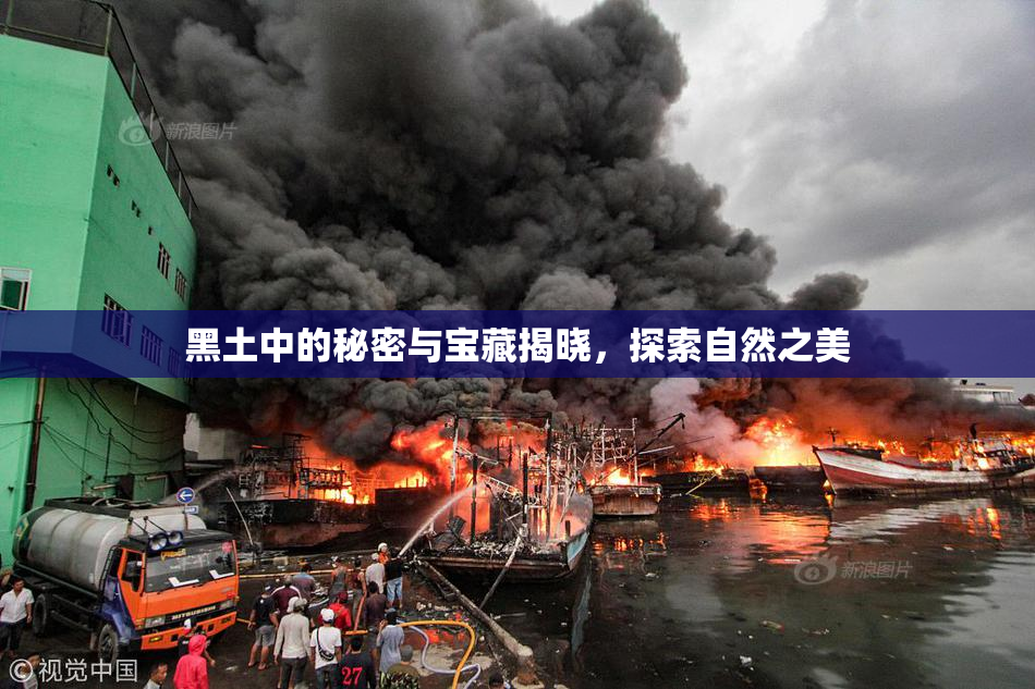 黑土中的秘密与宝藏揭晓，探索自然之美