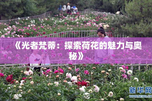 《光者梵蒂：探索荷花的魅力与奥秘》