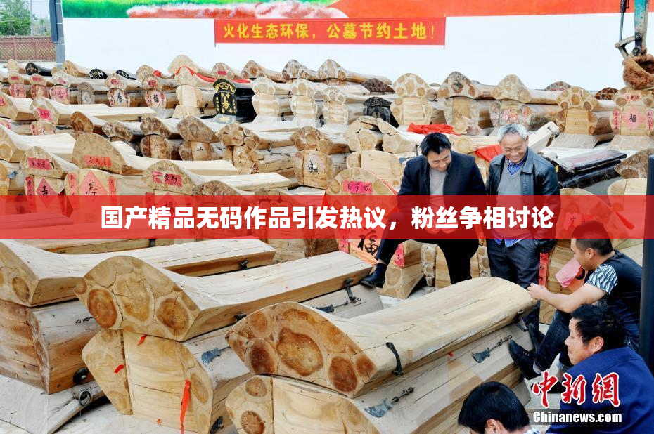 国产精品无码作品引发热议，粉丝争相讨论