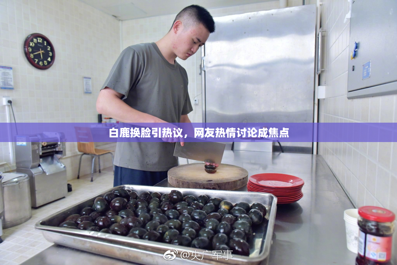 白鹿换脸引热议，网友热情讨论成焦点