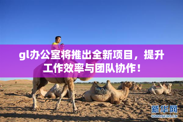 gl办公室将推出全新项目，提升工作效率与团队协作！