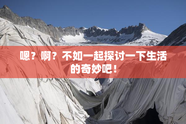 嗯？啊？不如一起探讨一下生活的奇妙吧！