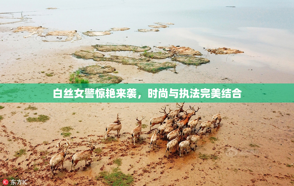 白丝女警惊艳来袭，时尚与执法完美结合