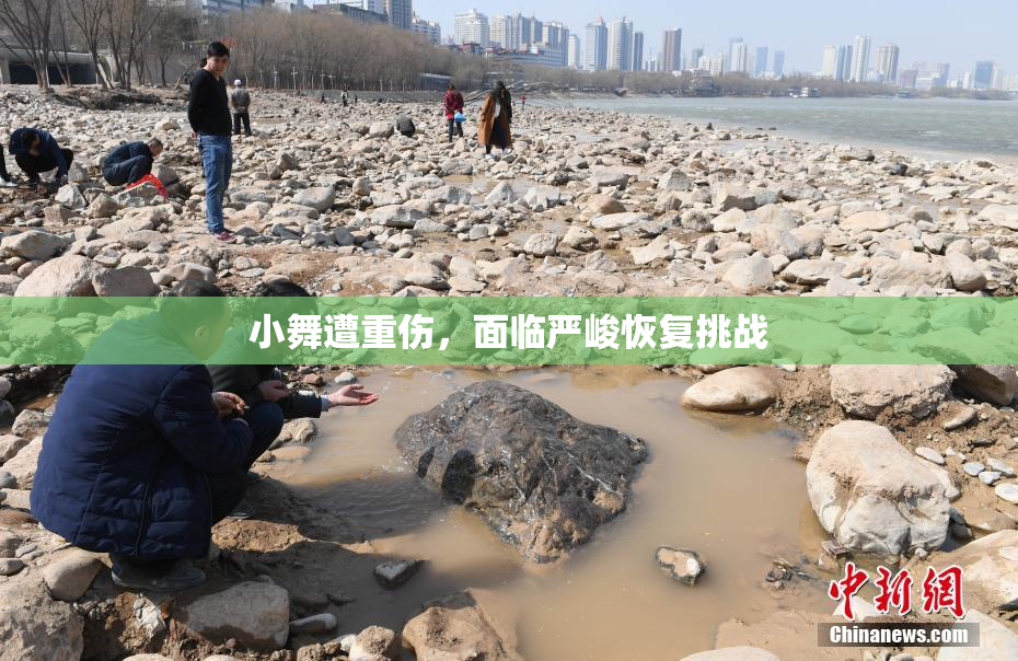 小舞遭重伤，面临严峻恢复挑战