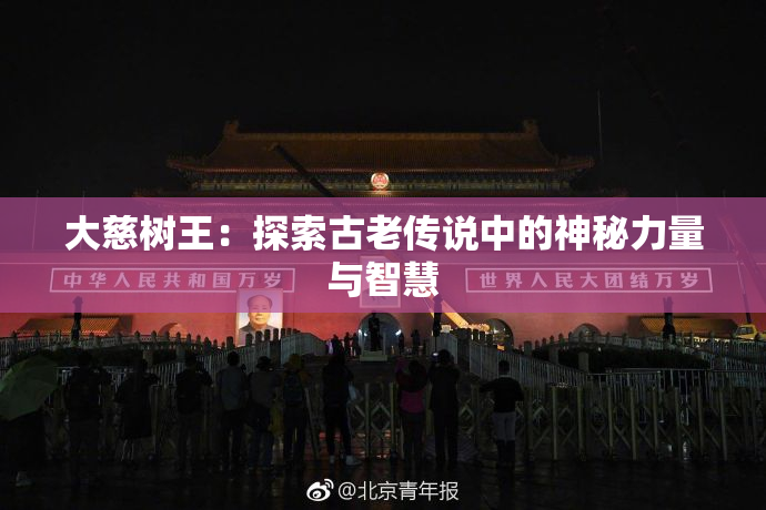 大慈树王：探索古老传说中的神秘力量与智慧