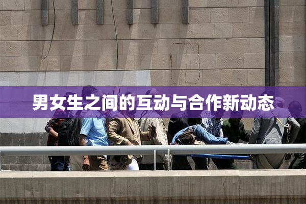 男女生之间的互动与合作新动态