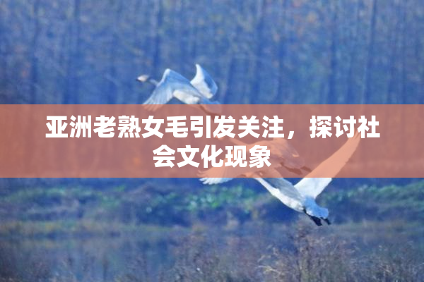 亚洲老熟女毛引发关注，探讨社会文化现象