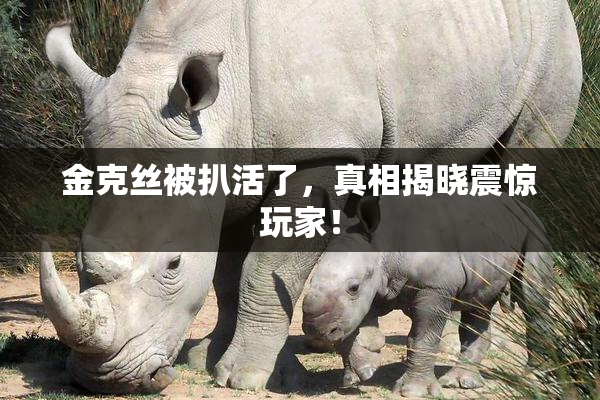 金克丝被扒活了，真相揭晓震惊玩家！