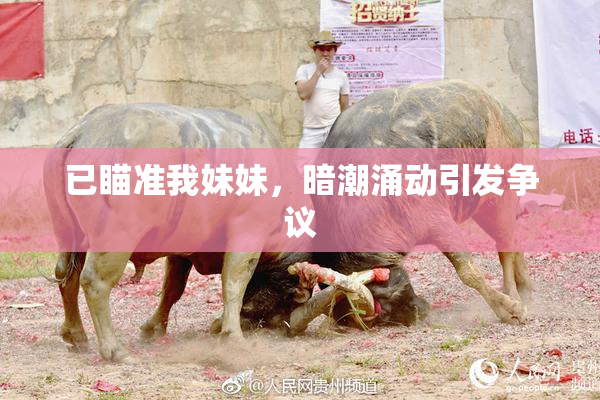 已瞄准我妹妹，暗潮涌动引发争议