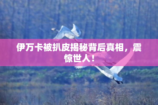伊万卡被扒皮揭秘背后真相，震惊世人！