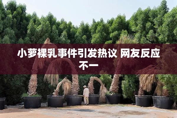 小萝裸乳事件引发热议 网友反应不一