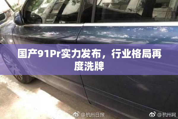 国产91Pr实力发布，行业格局再度洗牌