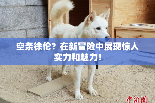 空条徐伦？在新冒险中展现惊人实力和魅力！