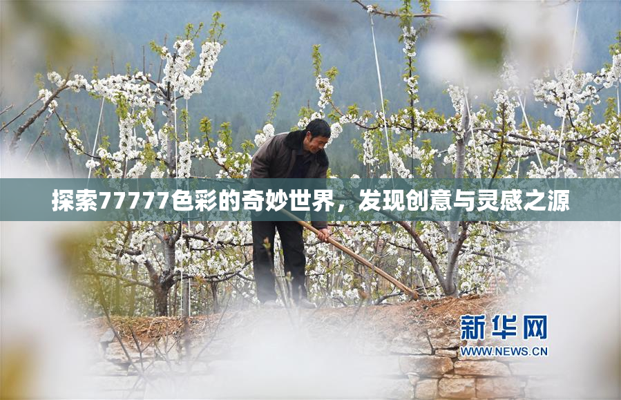 探索77777色彩的奇妙世界，发现创意与灵感之源